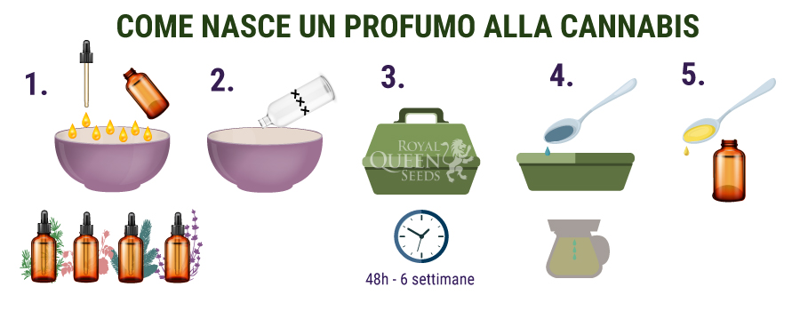 Come Nasce Un Profumo Alla Cannabis 