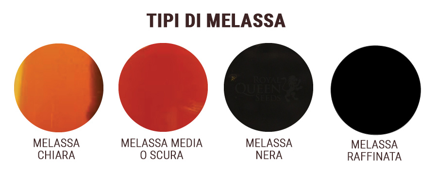 MELASSE SOLFORATE E NON SOLFORATE MELASSE SOLFORATE E NON SOLFORATE