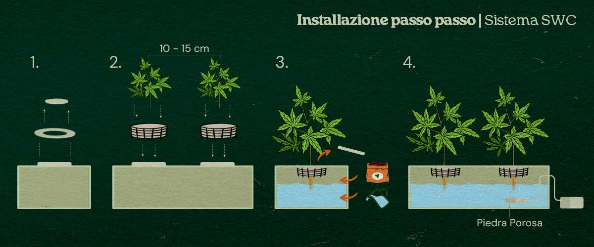Come allestire un sistema di coltura idroponica in acqua bassa per la cannabis Come allestire un sistema di coltura idroponica in acqua bassa per la cannabis