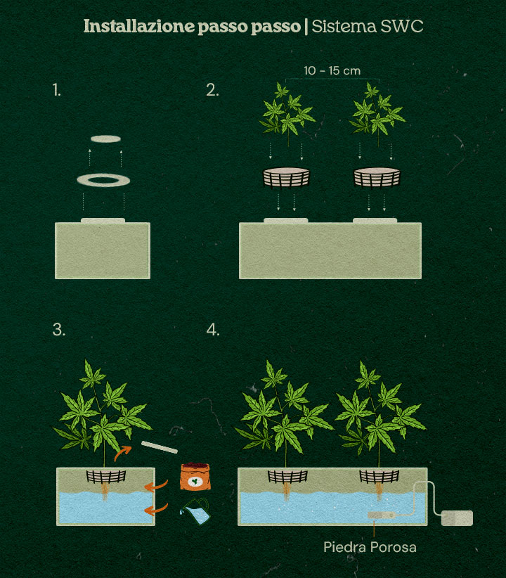 Come allestire un sistema di coltura idroponica in acqua bassa per la cannabis Come allestire un sistema di coltura idroponica in acqua bassa per la cannabis