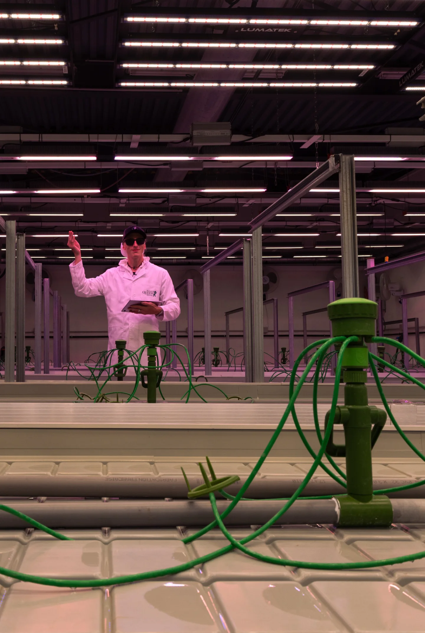 Setup della sala di coltivazione per il crop steering della cannabis Sala di coltivazione della cannabis controllata preparata per prove di crop steering, con gocciolatori di irrigazione, banchi idroponici, luci di coltivazione sospese e un ricercatore che monitora l’installazione.