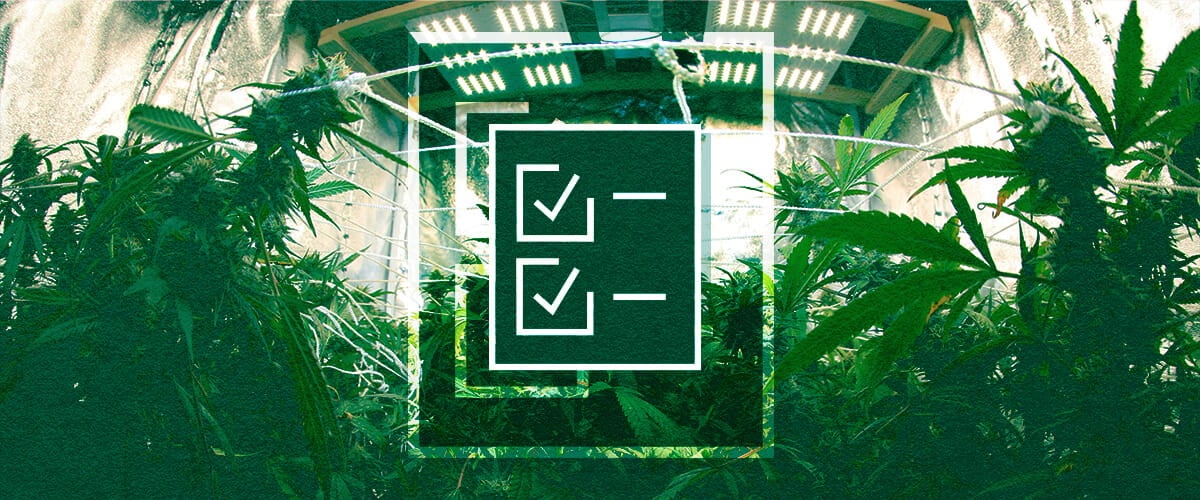 Lista di Controllo dell'Attrezzatura per Grow Box: Luci, Ventilazione, Timer e Alimentazione Lista di controllo dell'attrezzatura per grow box per principianti: Assicura il successo con illuminazione essenziale, sistemi di ventilazione, timer e controller, oltre alla gestione dell'alimentazione per il tuo giardino indoor.