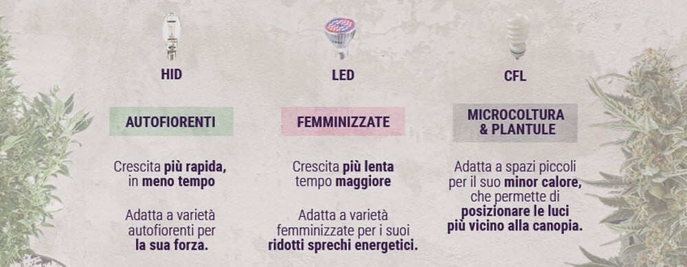 infinitoo Lampada per Piante, Grow Light Lampade LED Piante