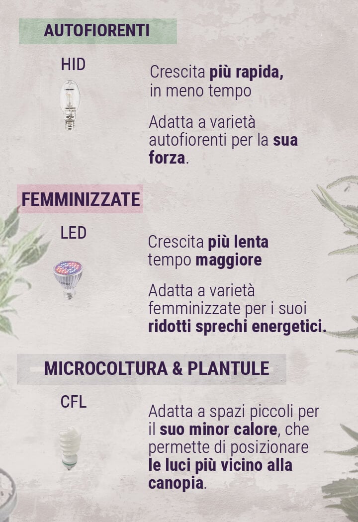 Guida alla scelta della lampada per la coltivazione indoor