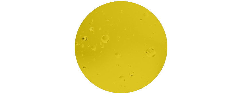 L'olio di canapa L'olio di canapa