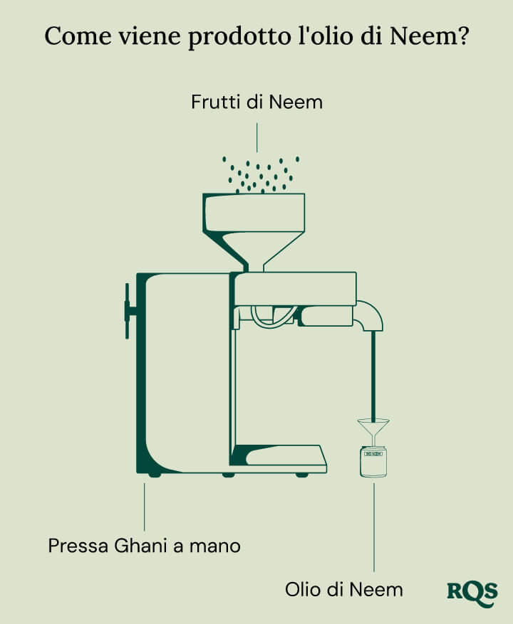 How is neem oil made