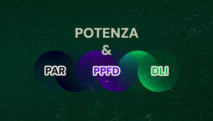 Come PAR, PPFD e DLI Si Riguardano alla Potenza in Watt Cannabis Un'illustrazione con