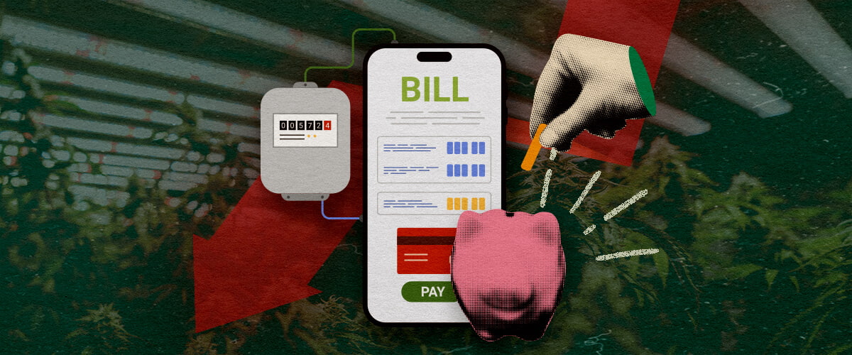 Come Ridurre Bollette Elettriche: Immagine Contatore Contatore elettrico con bolletta smartphone e salvadanaio, illustrando modi per ridurre i costi elettrici della stanza di coltivazione su sfondo verde scuro, ideale per consigli di risparmio su cannabis.