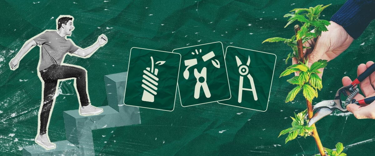 Come Innestare Piante di Cannabis: Il Tuo Tutorial Passo dopo Passo Impara come innestare piante di cannabis con la nostra guida passo dopo passo. Scopri l'attrezzatura necessaria, come scegliere il miglior portainnesto e nesto, e segui il nostro tutorial sull'innesto.