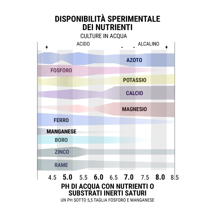 Disponibilità Sperimentale dei Nutrienti Culture in Acqua