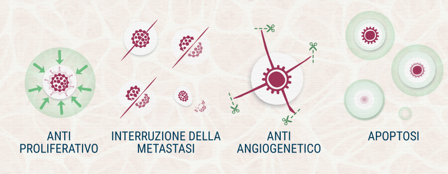 Cannabis E Cancro Cannabis E Cancro