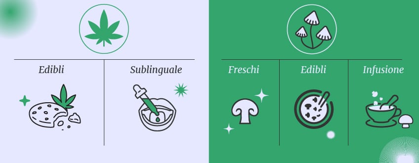 Cannabis vs funghi allucinogeni