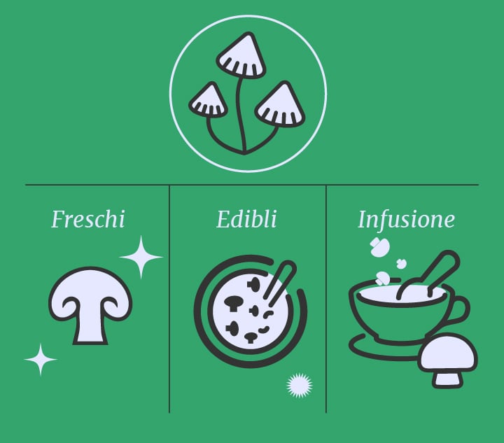 Cannabis vs funghi allucinogeni