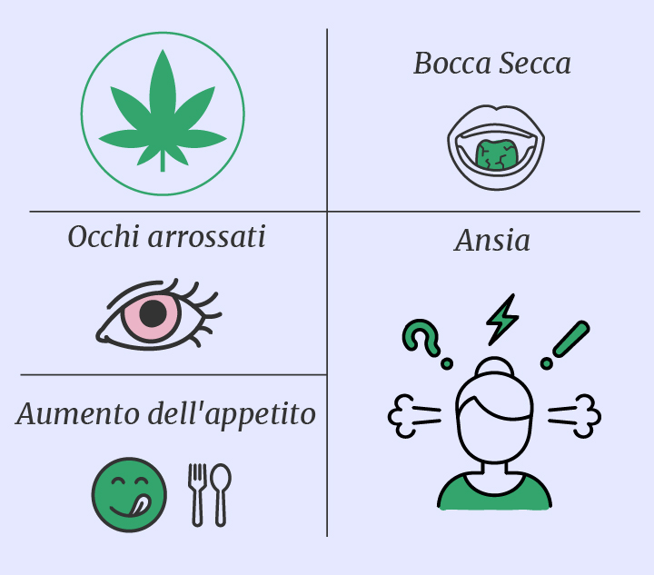 Cannabis vs funghi allucinogeni