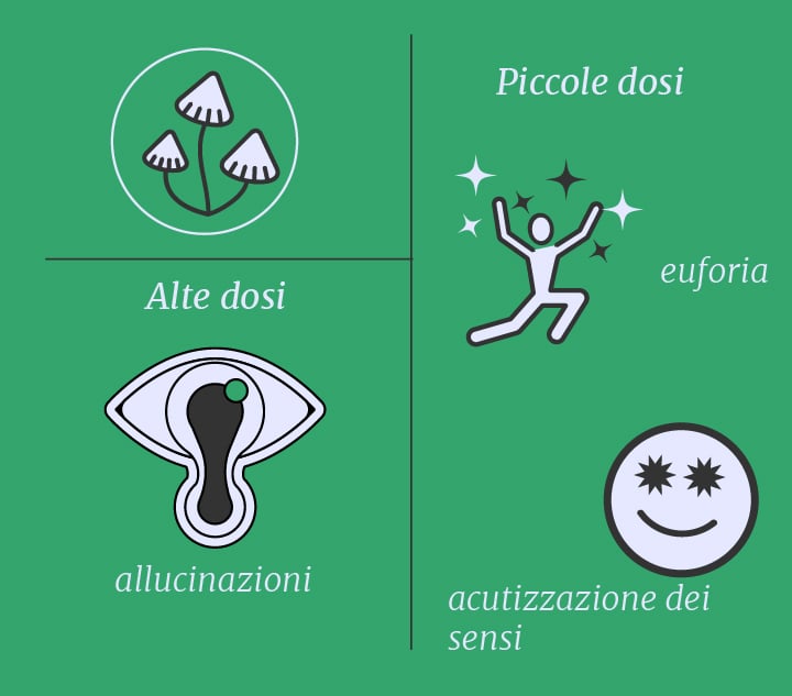 Cannabis vs funghi allucinogeni