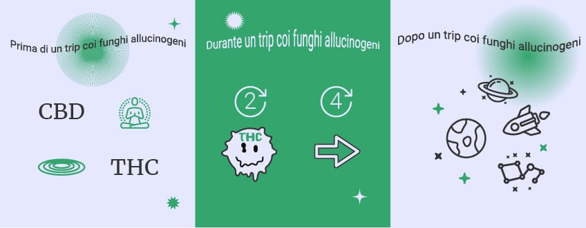 Cannabis vs funghi allucinogeni