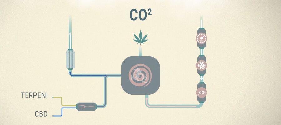Estrazione Di Co2 Cbd Estrazione Di Co2 Cbd