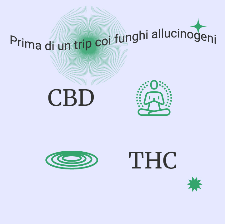 Cannabis vs funghi allucinogeni