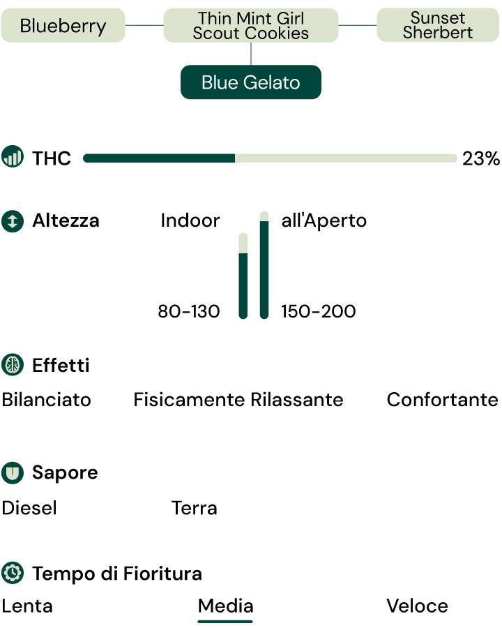Caratteristiche della varietà Blue Gelato Caratteristiche della varietà Blue Gelato