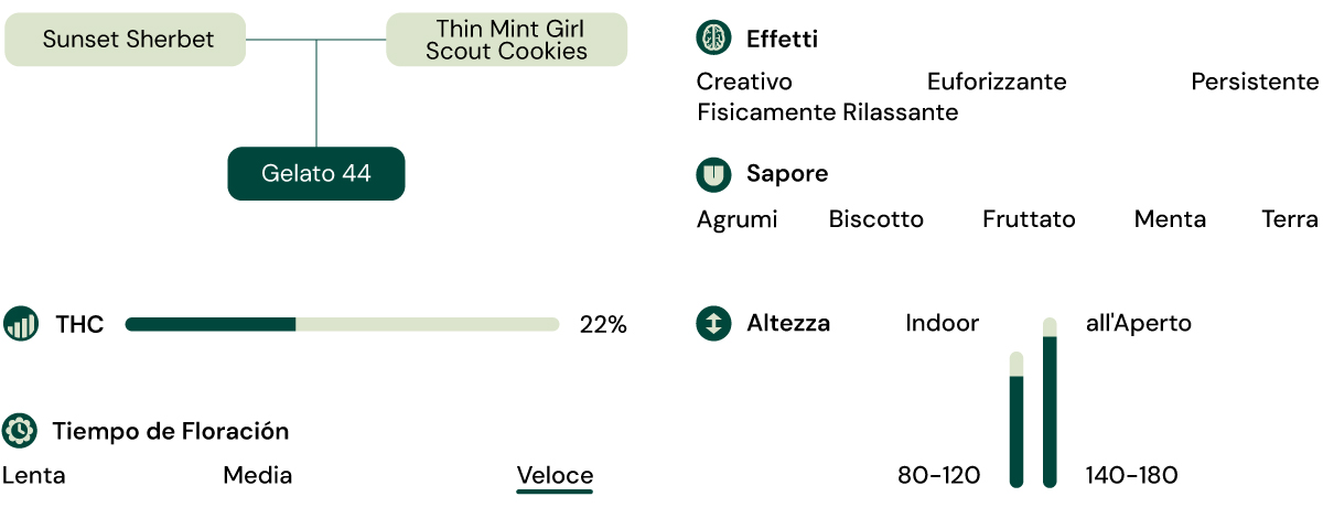 Caratteristiche della varietà Gelato 44 Caratteristiche della varietà Gelato 44