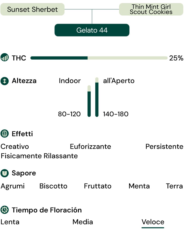 Caratteristiche della varietà Gelato 44 Caratteristiche della varietà Gelato 44