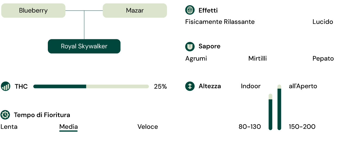 Caratteristiche della varietà Royal Skywalker Caratteristiche della varietà Royal Skywalker