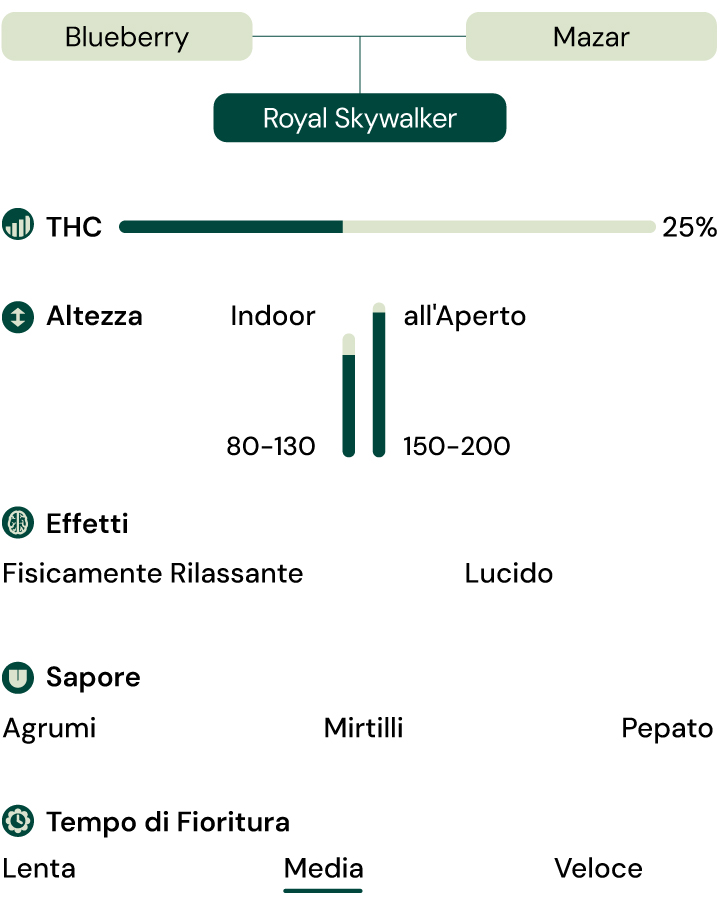 Caratteristiche della varietà Royal Skywalker Caratteristiche della varietà Royal Skywalker