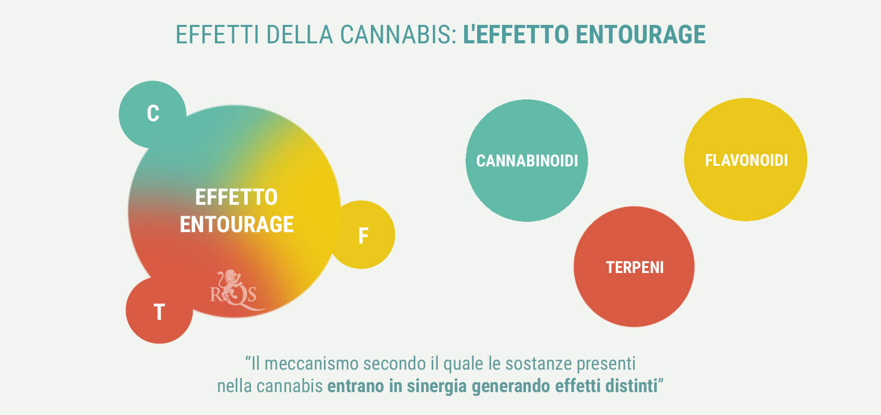 INDICA E SATIVA GENERANO EFFETTI DIVERSI? INDICA E SATIVA GENERANO EFFETTI DIVERSI?