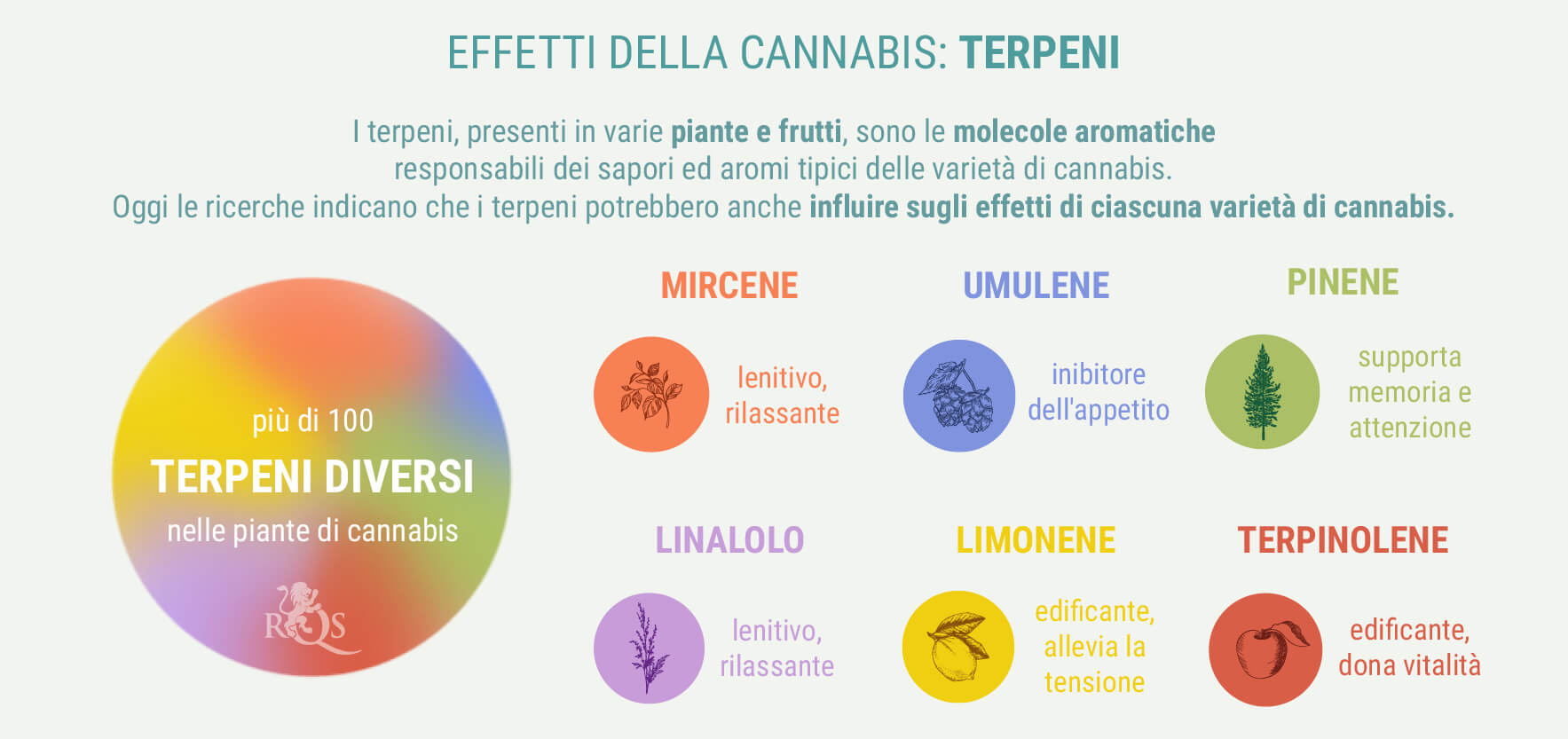 MISCELE PERSONALIZZATE DI INDICA E SATIVA MISCELE PERSONALIZZATE DI INDICA E SATIVA