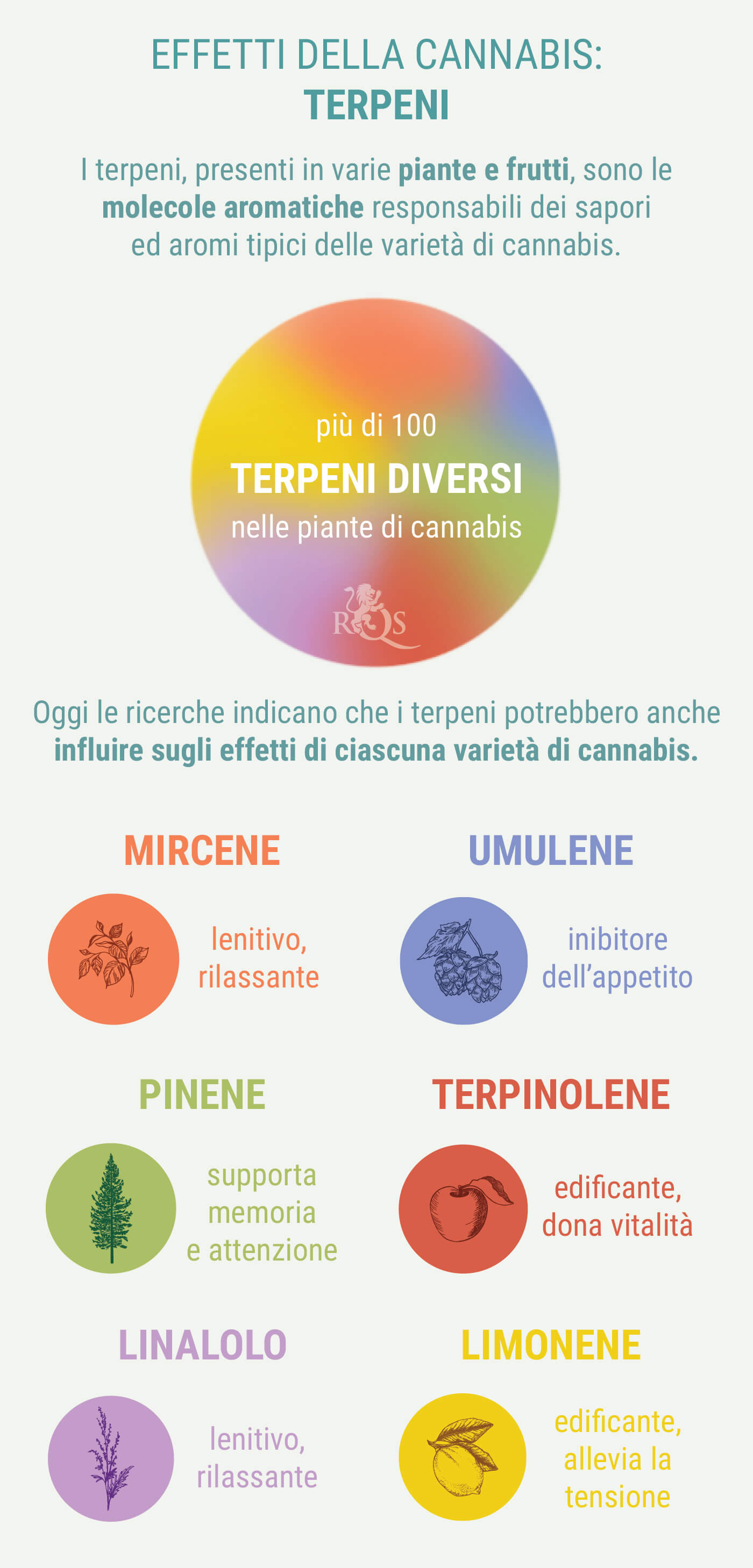 MISCELE PERSONALIZZATE DI INDICA E SATIVA MISCELE PERSONALIZZATE DI INDICA E SATIVA