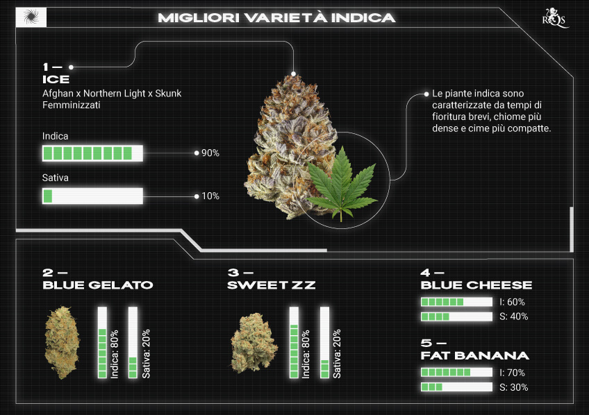 Top RQS Indica Strains