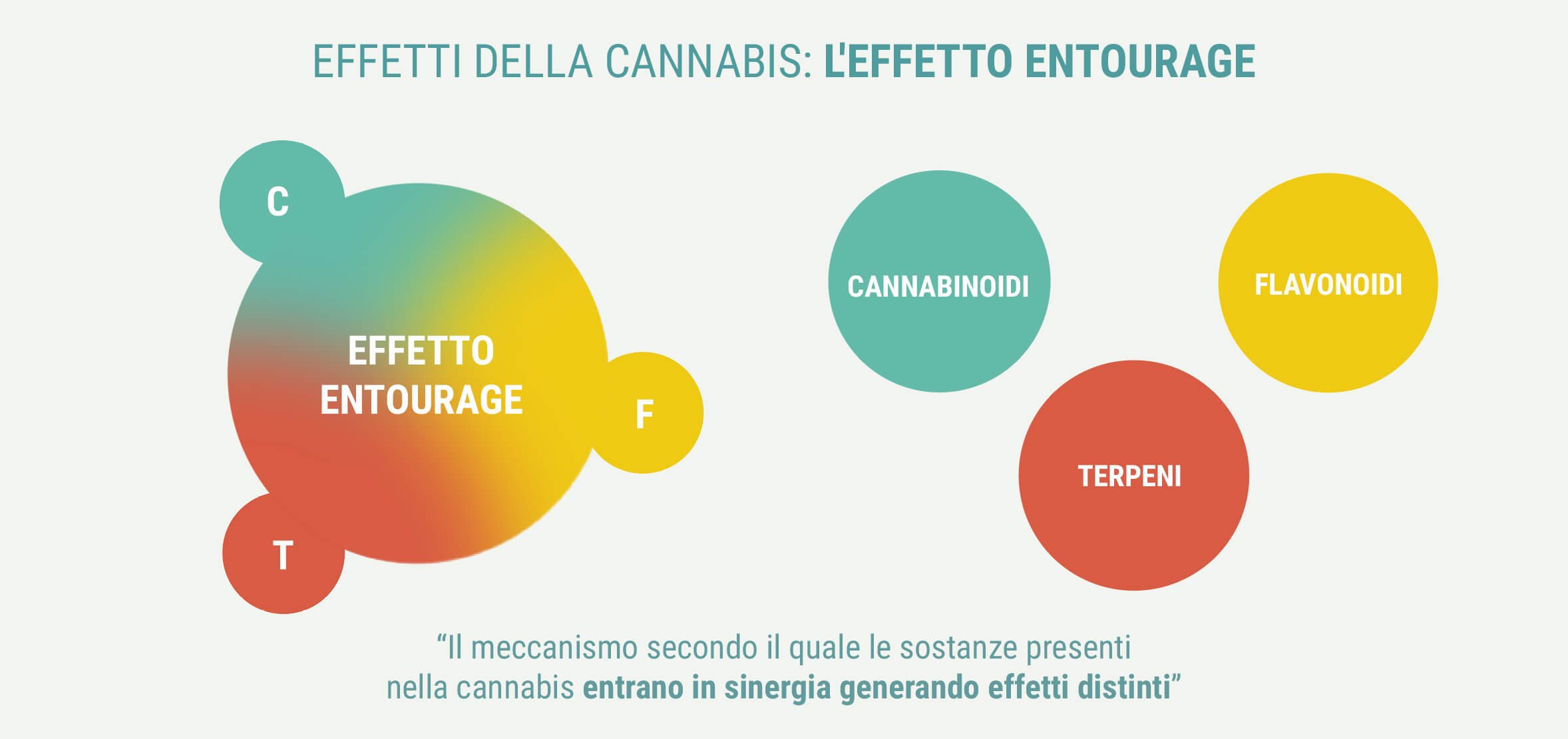 INDICA E SATIVA GENERANO EFFETTI DIVERSI?