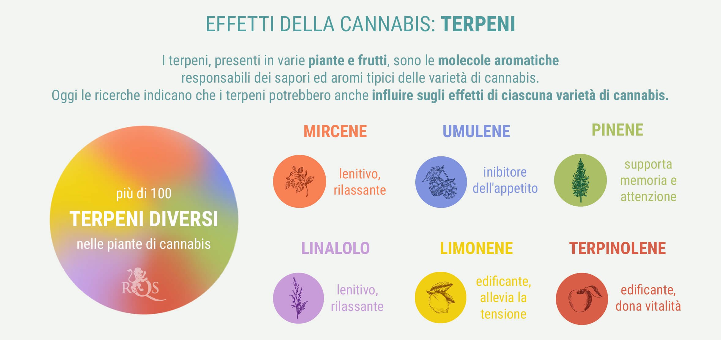 MISCELE PERSONALIZZATE DI INDICA E SATIVA