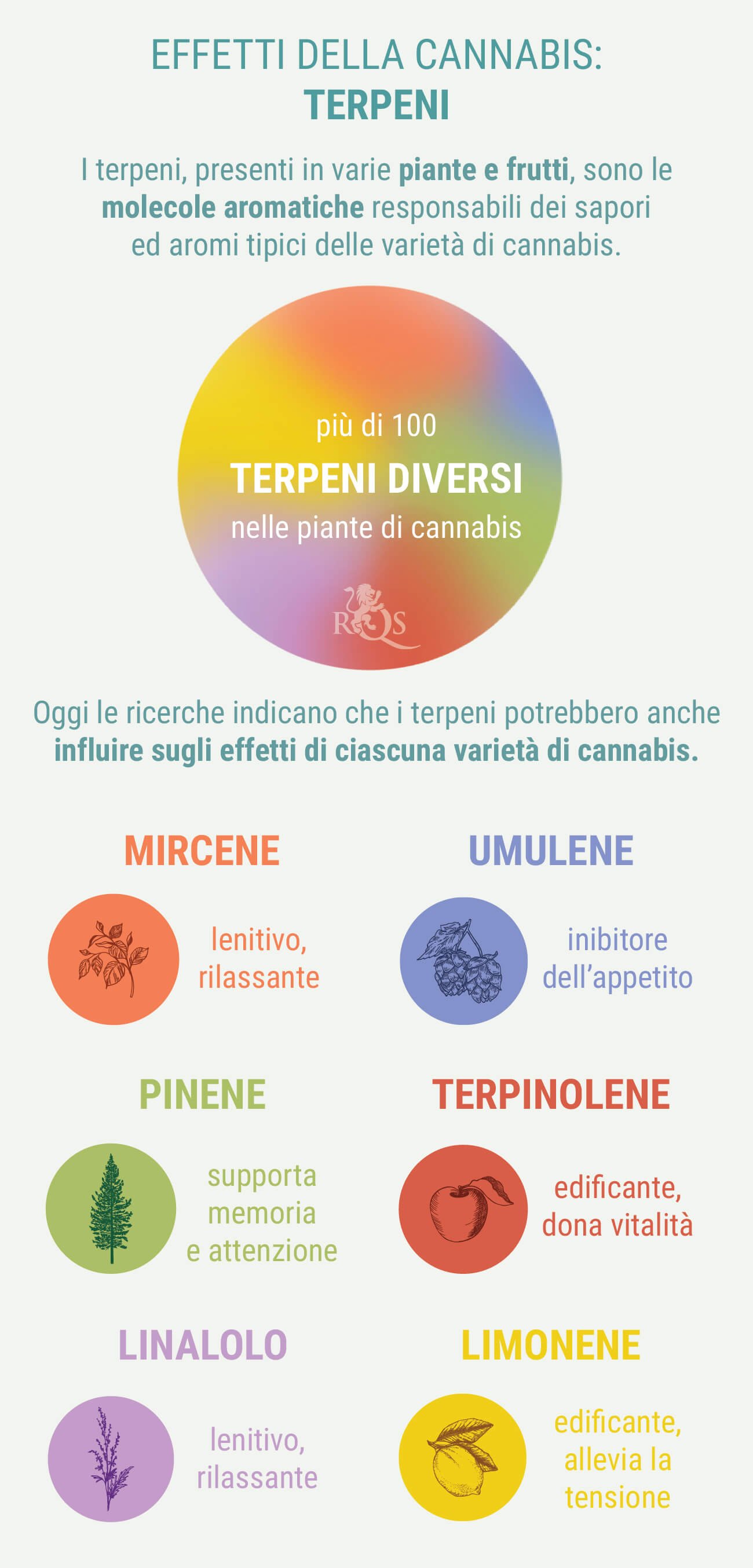 MISCELE PERSONALIZZATE DI INDICA E SATIVA