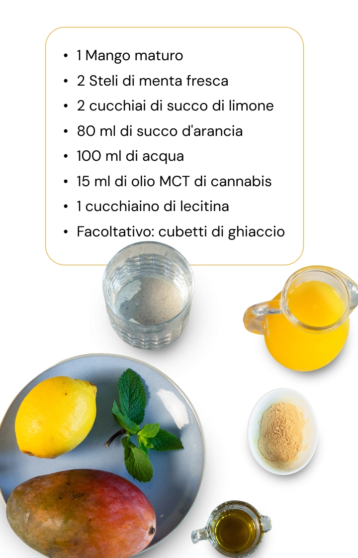 Come preparare un frullato alla cannabis con mango, agrumi e olio MCT alla cannabis Ingredienti per un frullato alla cannabis con mango, limone, menta, succo d’arancia, acqua, olio MCT alla cannabis e lecitina disposti su sfondo bianco.