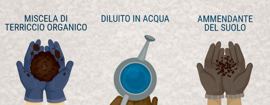 Guano Di Pipistrello Guano Di Pipistrello