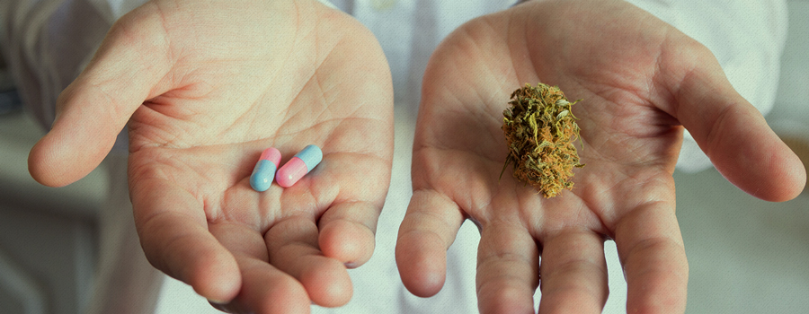legalizzazione della cannabis medica Tasmania Australia legalizzazione della cannabis medica Tasmania Australia