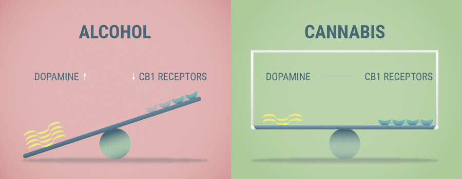 Effetti Di Alcool E Cannabis Effetti Di Alcool E Cannabis