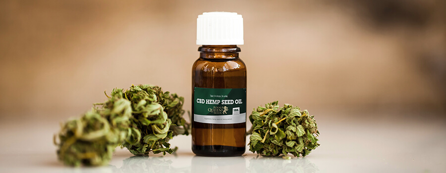 Cbd E Ansia Cbd E Ansia