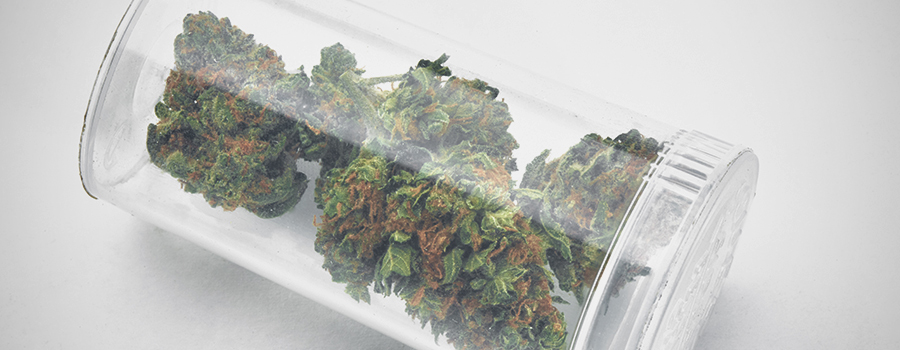 Cannabis Bud Medicinale Per Il Trattamento Del Diabete Cannabis Bud Medicinale Per Il Trattamento Del Diabete