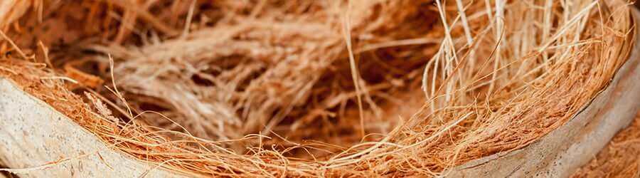 fibra de coco hydroponics
