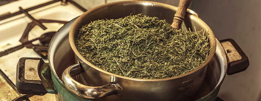 Cottura Di Cannabis Commestibili Cottura Di Cannabis Commestibili