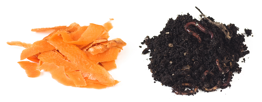 Vermicompost Decomposizione Organica Vermicompost Decomposizione Organica