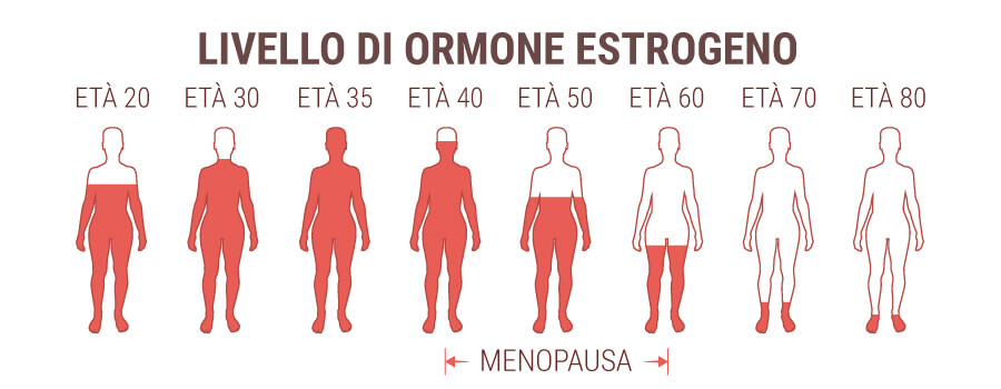 Livello Dell'Ormone Degli Estrogeni Livello Dell'Ormone Degli Estrogeni