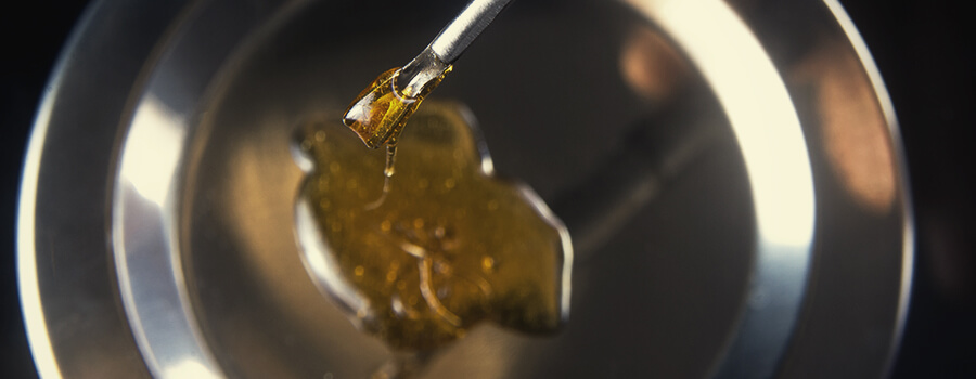 Solventi Residui In Un'Estrazione Di Cannabis