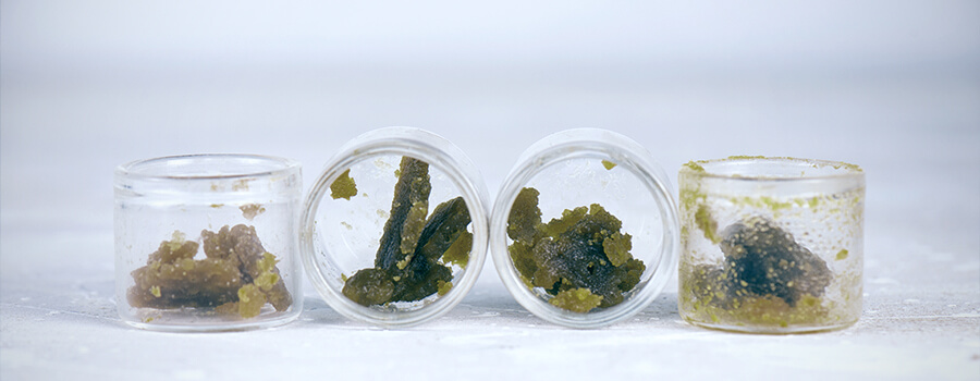 Come Conservare I Concentrati Di Cannabis