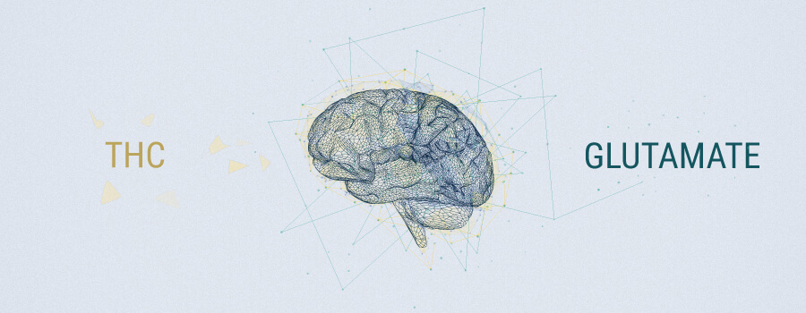 Neurotrasmettitori E Cannabis