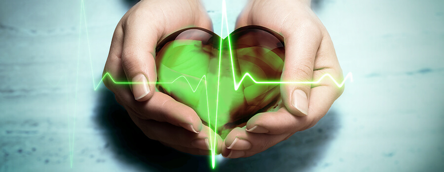 Ipertensione Cuore Cannabis Ipertensione Cuore Cannabis