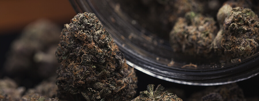 Vaso Di Cannabis Per Conservarlo