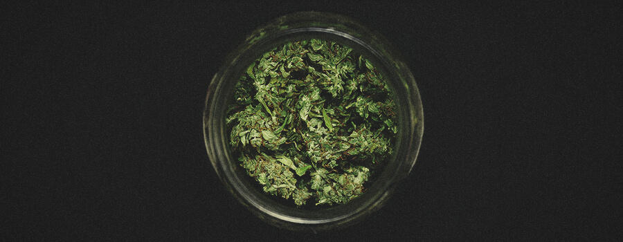 Tintura Di Cannabis Con La Glicerina Tintura Di Cannabis Con La Glicerina